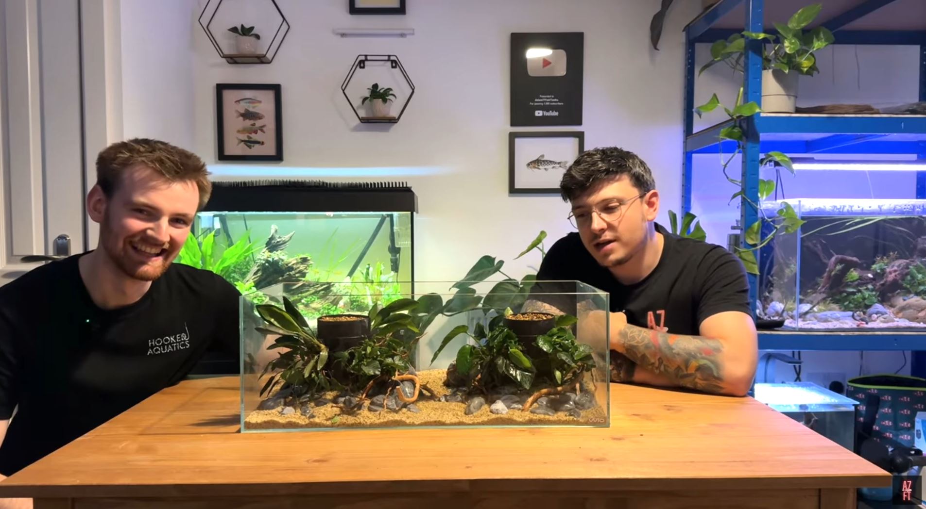 Seven Years In, and This Changed How I Build Aquariums | Case Study