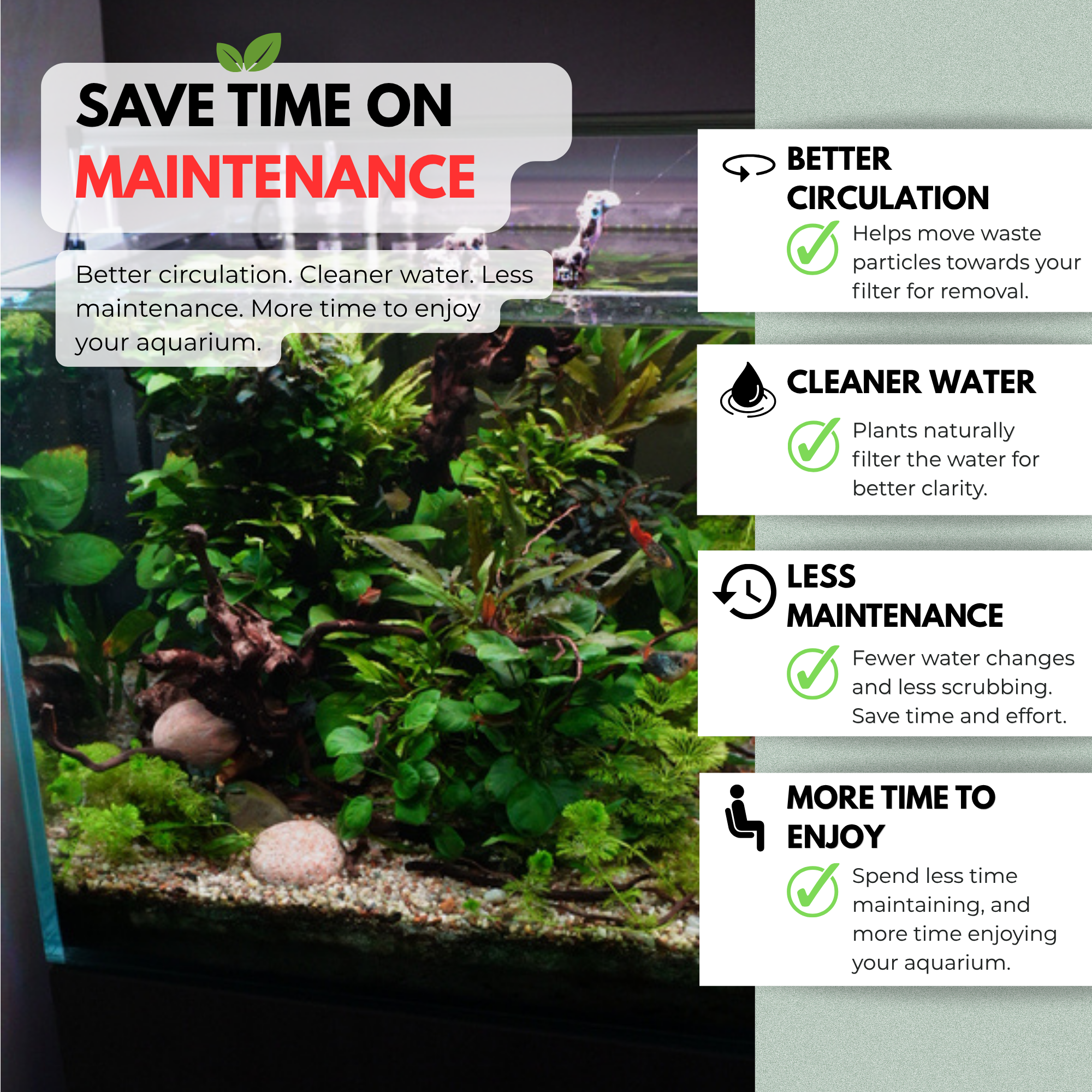 Aquarium with plants and text highlighting benefits of better circulation, cleaner water, less maintenance, and more time to enjoy.