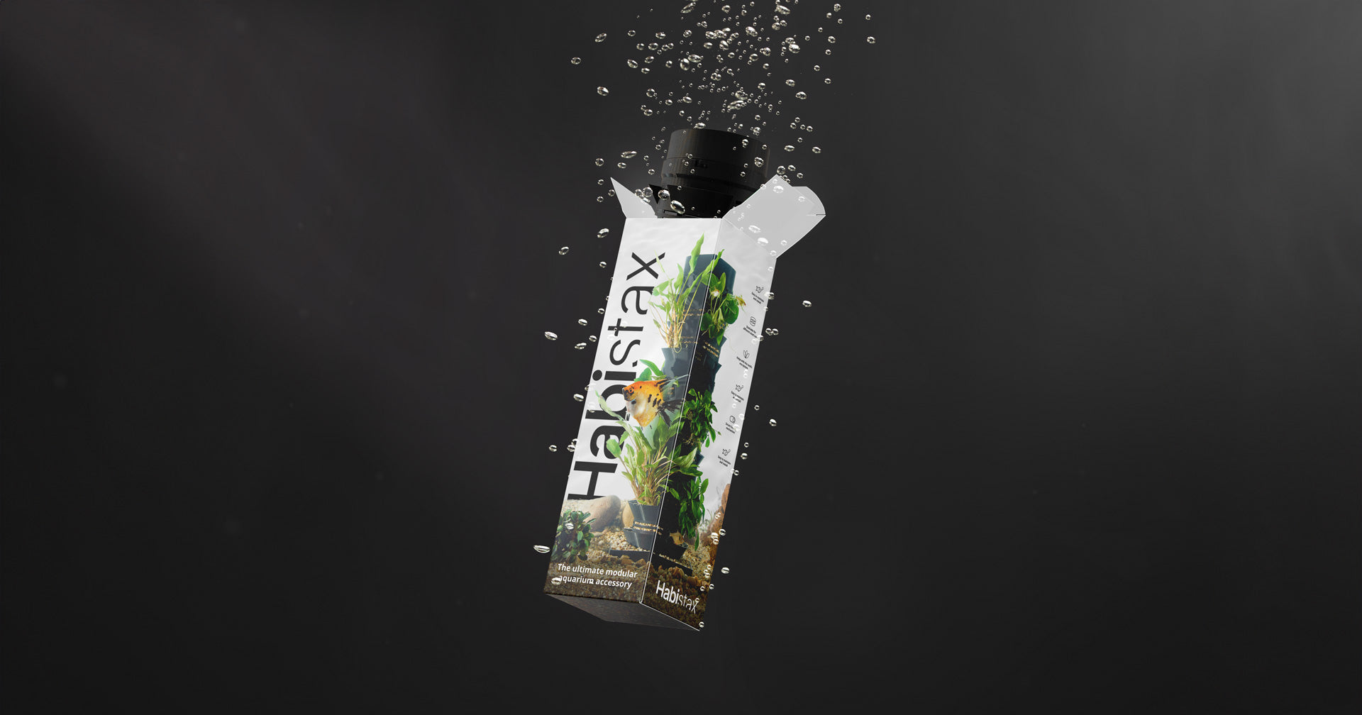 Algae in Planted Tanks: Why It Happens and How to Take Back Control