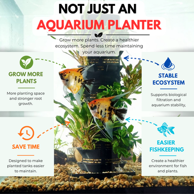 Aquarium planter with fish and plants, highlighting features like a stable ecosystem and easier fishkeeping using Habistax.
