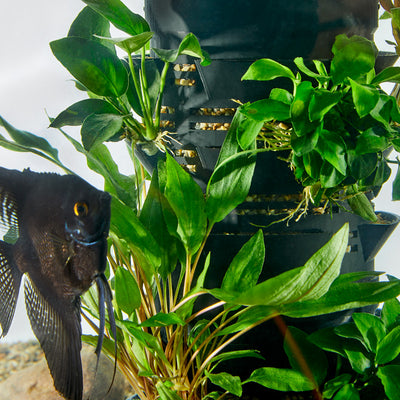 Aquarium hardscape alternative using modular planting structure