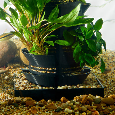 Easy planted aquarium setup using modular planting system
