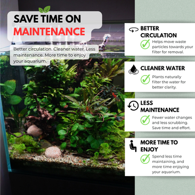 Aquarium with plants and text highlighting benefits of better circulation, cleaner water, less maintenance, and more time to enjoy.