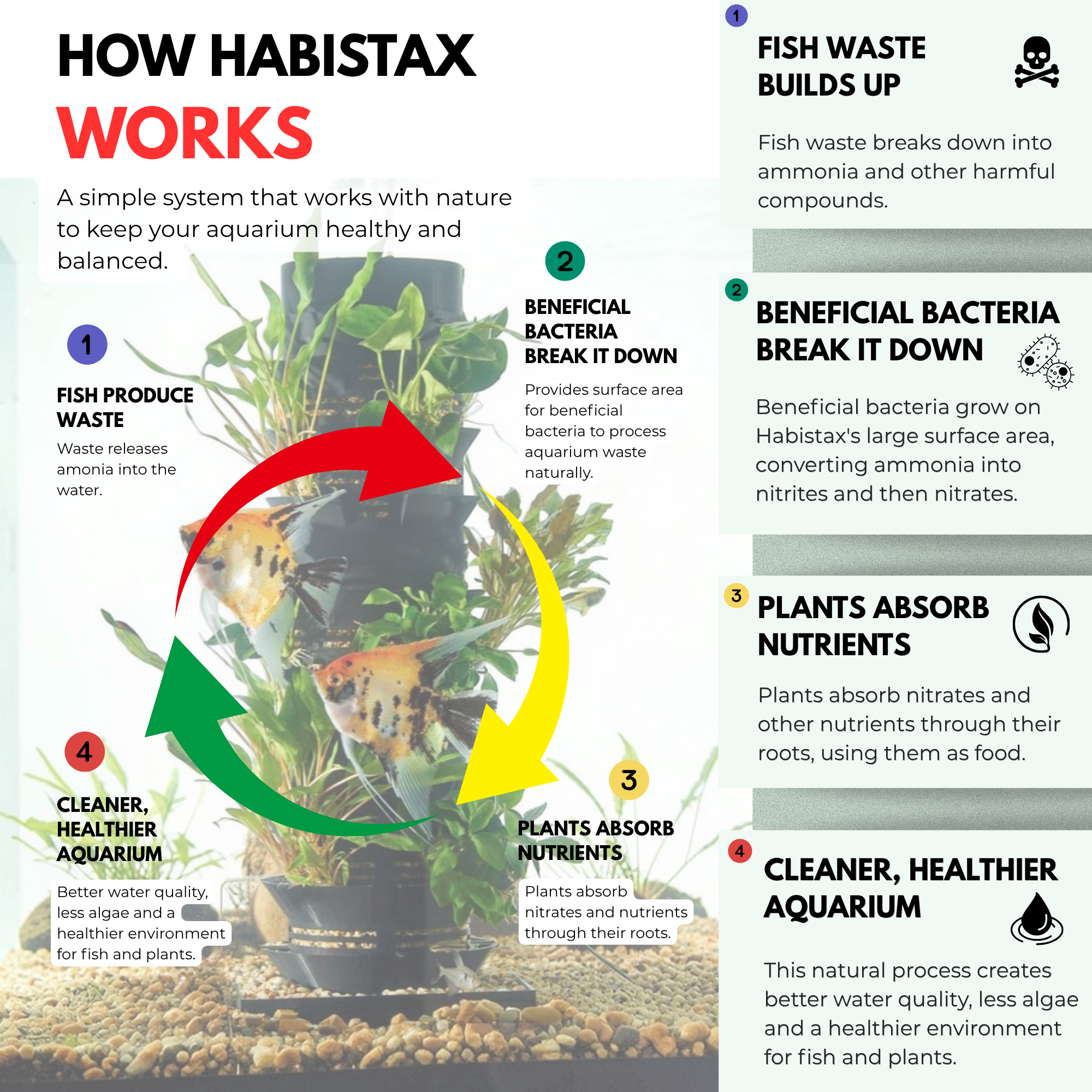 Diagram explaining how Habistax works in an aquarium setting