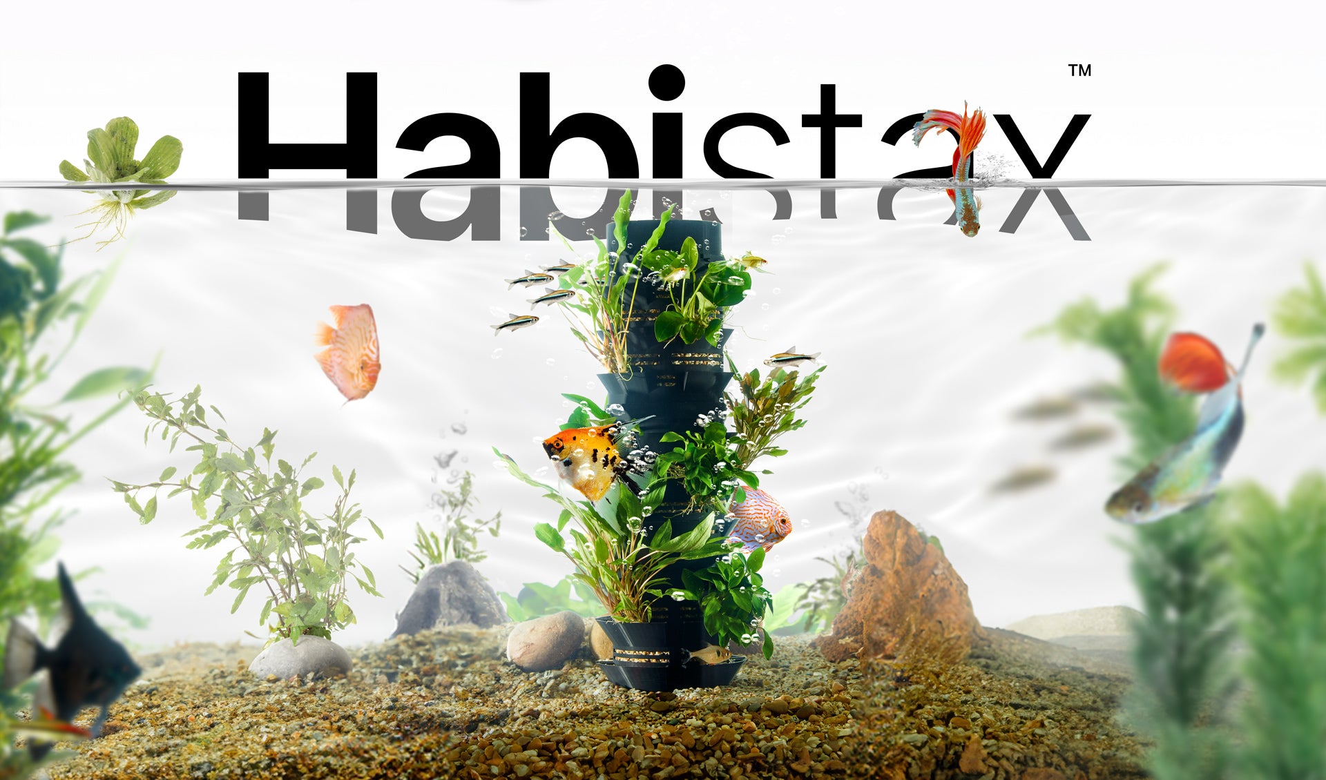Modular aquarium plant containers for aquascaping